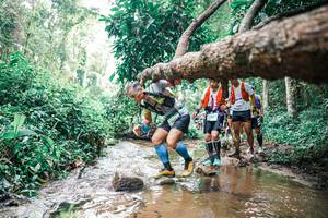 BIB: 
                            <button type="button" onclick="openModal(25374219)" class="btn btn-primary btn-sm float-right btn-popup" data-toggle="modal" data-target=".modal-high-quality">
                        <i class="fas fa-shopping-cart"></i> Add to Cart
                    </button>
                                            <button type="button" onclick="isThisMe(25374219, true)" class="btn btn-success btn-sm float-right btn-popup btn-isme hidden" data-toggle="tooltip" data-placement="bottom" title="นี่คือรูปของคุณใช่ไหม คลิกที่นี่เพื่อเอาเข้าอัลบั้ม">
                        <i class="fas fa-plus"></i> Add to album
                    </button>
                    <button type="button" onclick="isThisMe(25374219, false)" class="btn btn-warning btn-sm float-right btn-popup btn-isnotme hidden">
                        <i class="fas fa-ban"></i> Remove from album
                    </button>